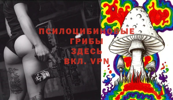 mdpv Арсеньев